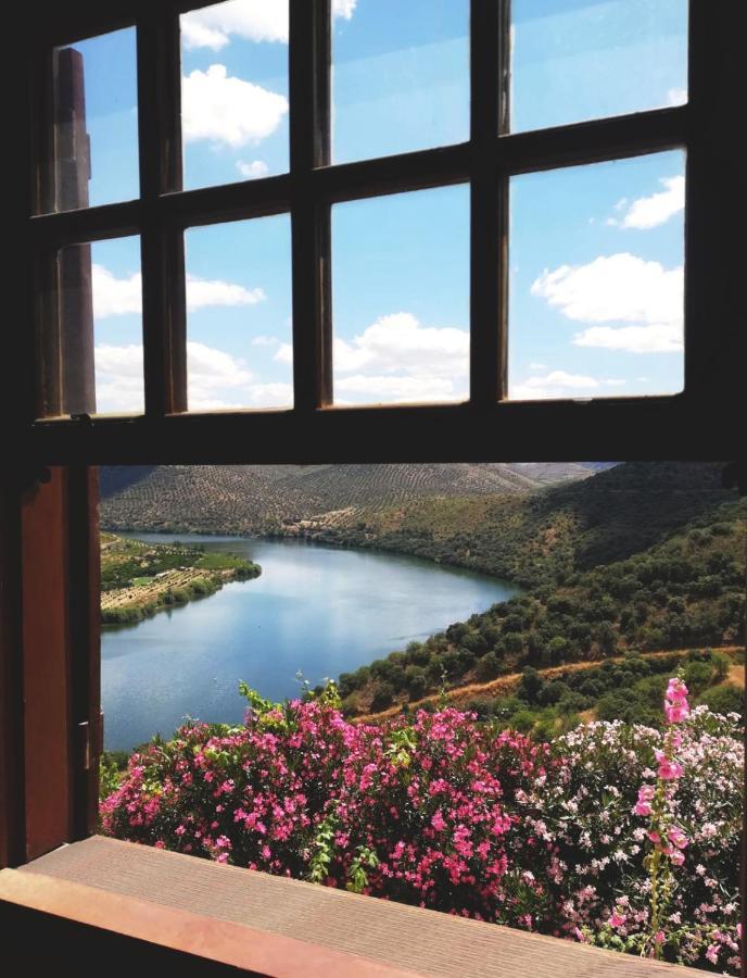 Villa Auri Vila Nova de Foz Coa Kültér fotó