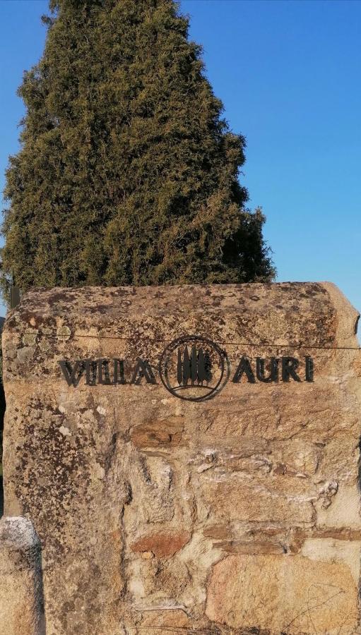 Villa Auri Vila Nova de Foz Coa Kültér fotó