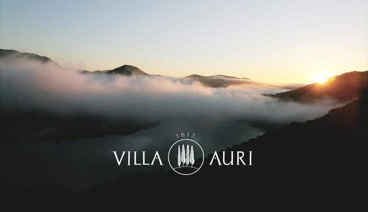 Villa Auri Vila Nova de Foz Coa Kültér fotó